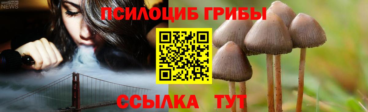 купить  цена  Псилоцибиновые грибы Magic Shrooms  Вход с VPN  Псилоцибиновые грибы Psilocybine cubensis  Чайковский 
